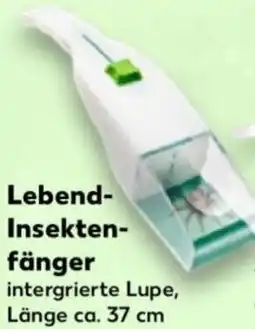 Kaufland GARDIGO Lebend Insektenfänger Angebot