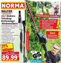 Norma WALTER 2in1 Elektro Teleskop Kettensäge/ Heckenschere Angebot