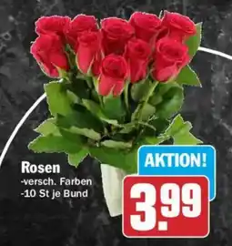 HIT Rosen Angebot