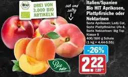 HIT Aprikosen, Plattpfirsiche oder Nektarinen Angebot