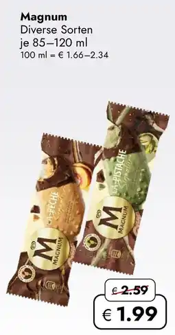Travel Free Magnum Angebot