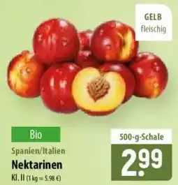 Famila Nord Ost Nektarinen Angebot