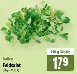 Famila Nord Ost Feldsalat Angebot