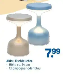 Rossmann Akku-Tischleuchte Angebot