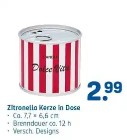 Rossmann Zitronella Kerze in Dose Angebot