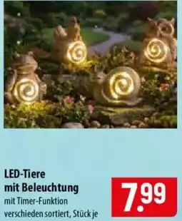 Famila Nord Ost LED-Tiere mit Beleuchtung Angebot