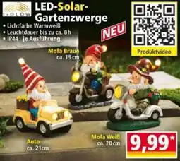 Norma I-GLOW LED-Solar Gartenzwerge Angebot