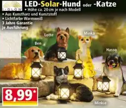 Norma I-GLOW LED-Solar-Hund oder Katze Angebot