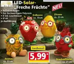 Norma I-GLOW LED-Solar ,,Freche Früchte" Angebot