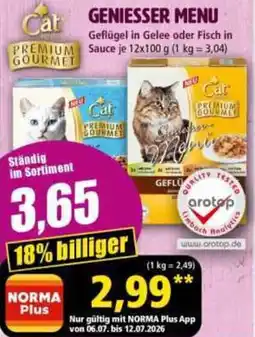 Norma Cat premium gourmet geniesser menu Angebot