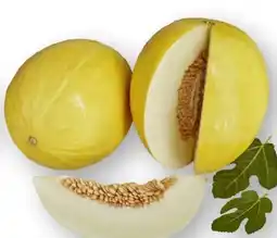 Scheck-in-Center Honigmelone Angebot