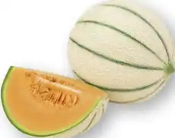 Scheck-in-Center Cantaloupe Melone Angebot