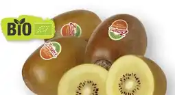 Scheck-in-Center Zespri Bio Jumbo Kiwi Gold XXL Angebot
