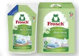 Scheck-in-Center Frosch Flüssig-Waschmittel Angebot