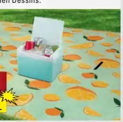 Scheck-in-Center Dekor Picknickdecke XXL Angebot