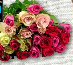 nahkauf Rosen Duo Angebot