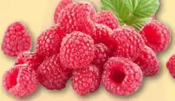 REWE Center Rewe Beste Wahl Frische Himbeeren Angebot