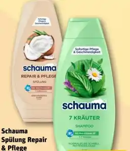 REWE Center Schwarzkopf Schauma Spülung Angebot