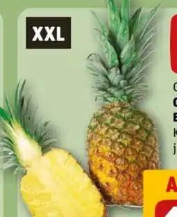 REWE Center Rewe Beste Wahl Gold Ananas Extra Sweet XXL Angebot