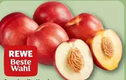 REWE Center Rewe Beste Wahl Nektarinen Angebot