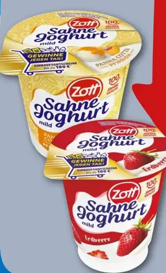 REWE Center Zott Sahne Joghurt Angebot