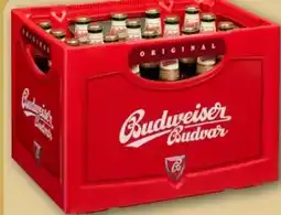 REWE Center Budweiser Budvar (CZ) Czech Premium Lager Angebot