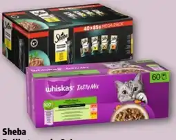 REWE Center Sheba Delikatesse in Gelee Angebot