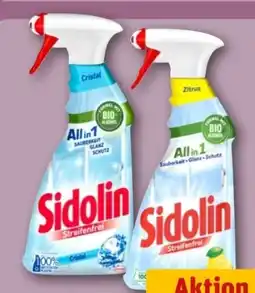REWE Center Sidolin Glasreiniger Angebot