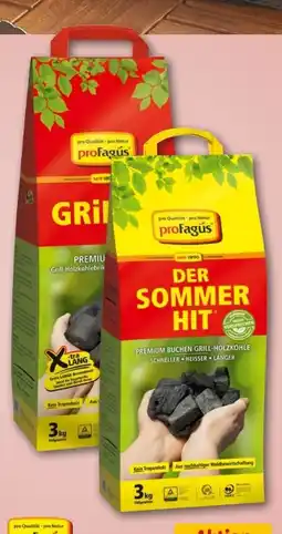 REWE Center proFagus Grill-Holzkohle Angebot
