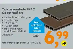 Globus Baumarkt Terrassendiele WPC Coextrudiert Angebot