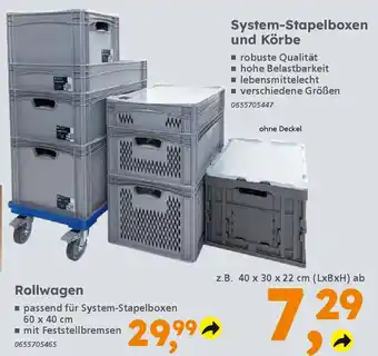 Globus Baumarkt System-Stapelboxen und Körbe Angebot