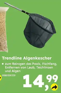 Globus Baumarkt Trendline Algenkescher Angebot