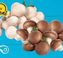 E-Center Champignons Angebot