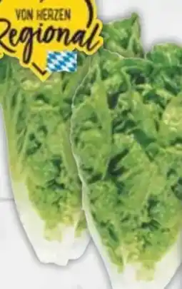 E-Center Mini-Romanasalat Angebot