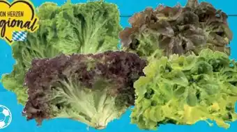 E-Center Salatspezialitäten Angebot