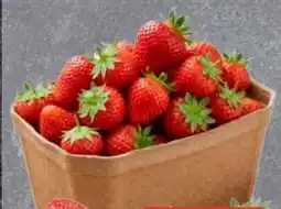 Edeka Frischemarkt Erdbeeren Angebot