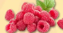 REWE Center Himbeeren Angebot