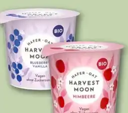 REWE Center Harvest Moon Bio Hafer-Oat Vegan Angebot