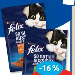 Budni Purina Felix Katzennahrung Angebot