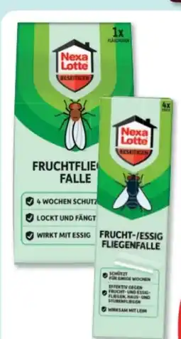 Budni Nexa Lotte Fruchtfliegen Falle Angebot