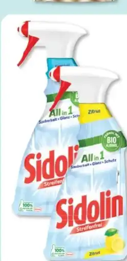 Budni Sidolin Glasreiniger Angebot