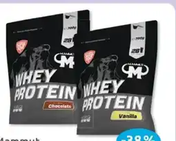 Budni Mammut Whey Protein Pulver Angebot