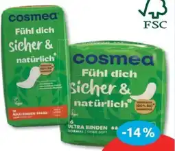 Budni Cosmea Damen-Binden Angebot