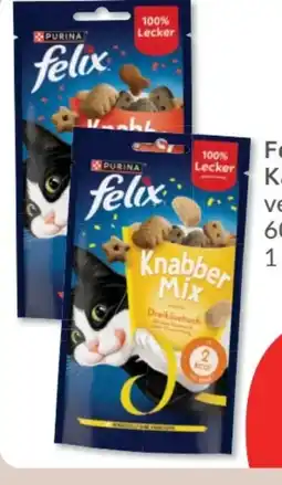 Budni Purina Felix Katzensnack Angebot