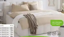 Mömax Based Polsterbett Monte Angebot