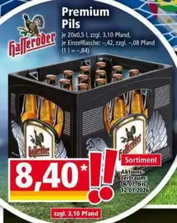 Norma Hasseröder Premium Pils Angebot