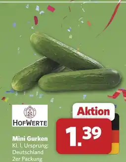 Combi Hofwerte mini gurken Angebot