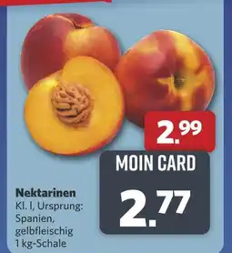 Combi Nektarinen Angebot