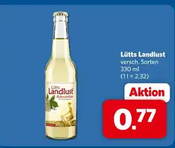 Combi Lütts landlust holunderblüte Angebot
