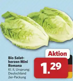 Combi Salatherzen mini romana Angebot